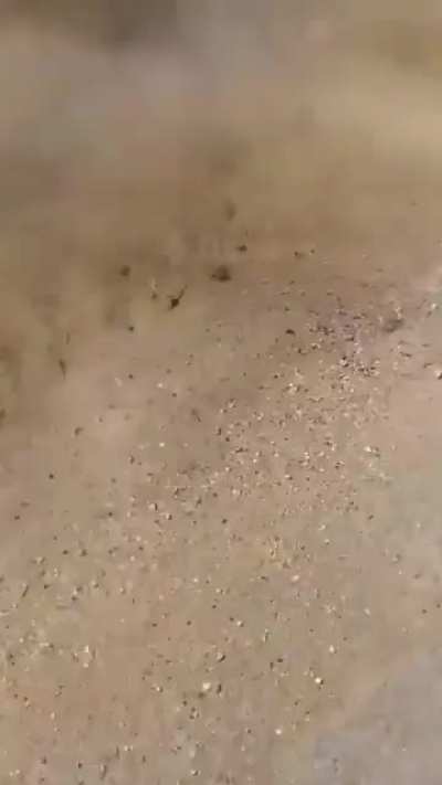HMFT after i film this fire