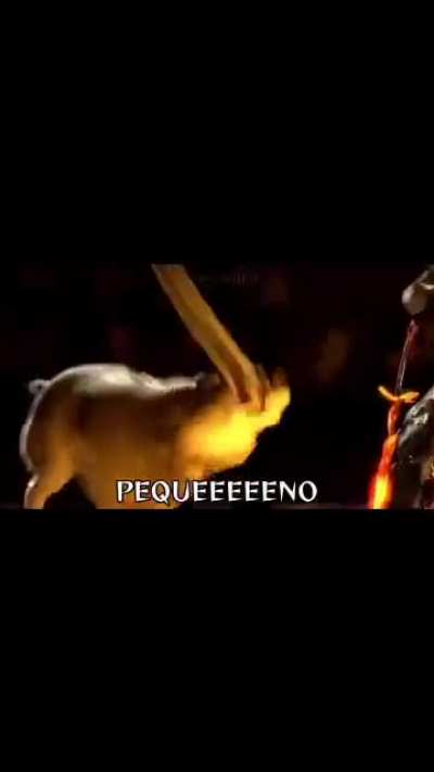 eu_nvr