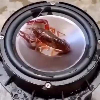 hes fuckin dead