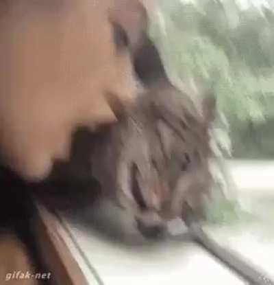 Why won’t you love me!