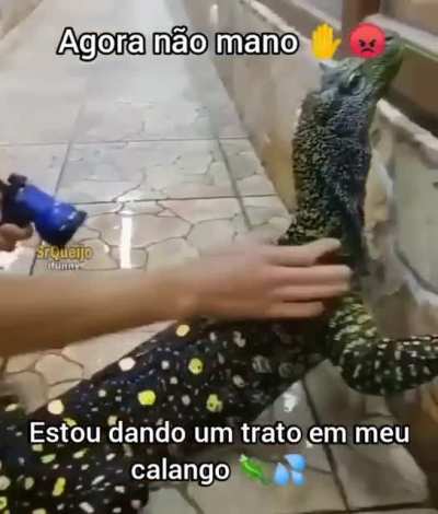 agora n man