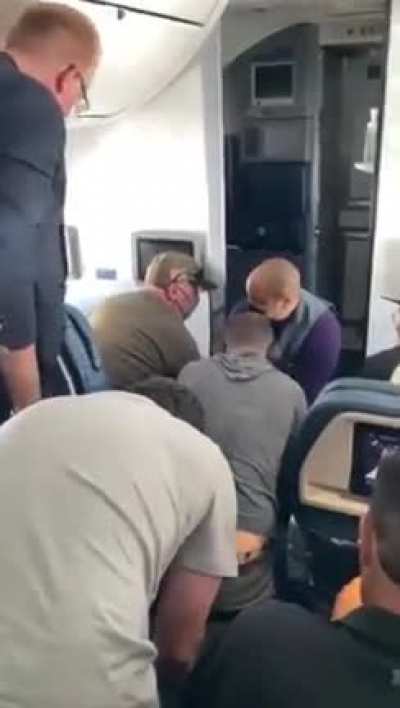 Man on Delta flight from LA to Nashville who tried to break into cockpit gets hogtied by passengers while yelling stop this plane.