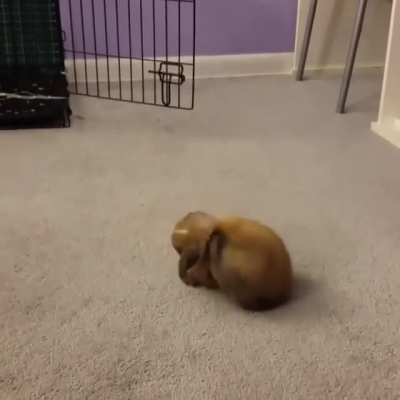 That little hop-turn in the middle is called a 