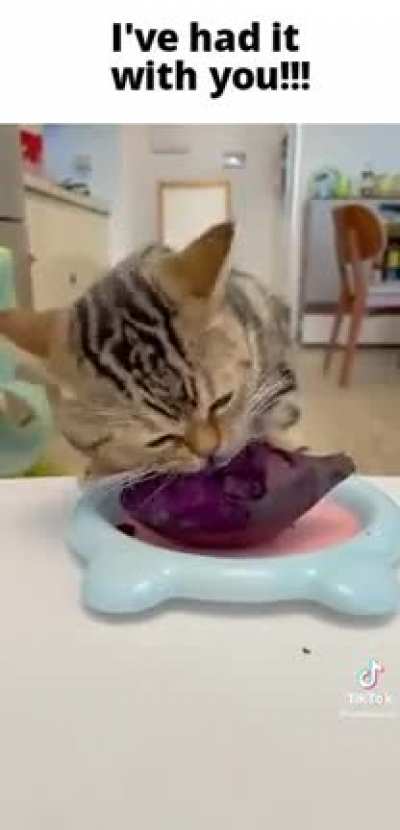 Hungry wunkus