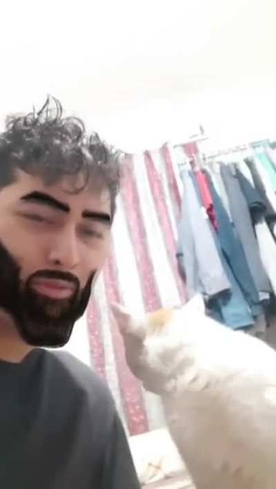 Gigakitty