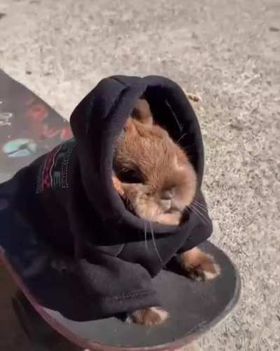 Serious fellow