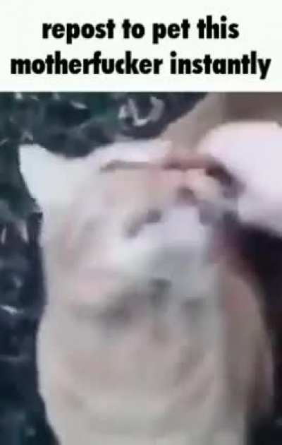 :3