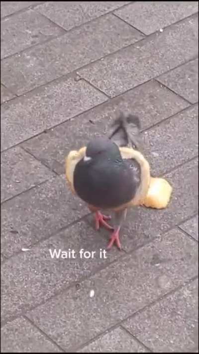 It’s a sign of wealth