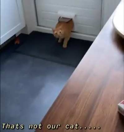 To sneak in