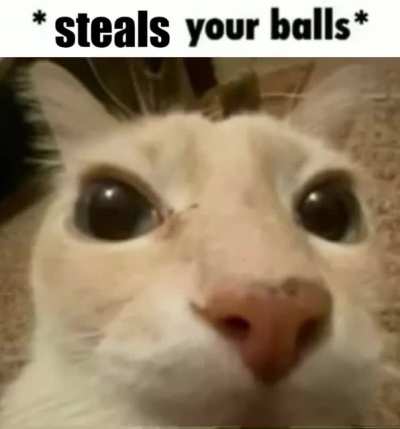 noooo not my balls :(