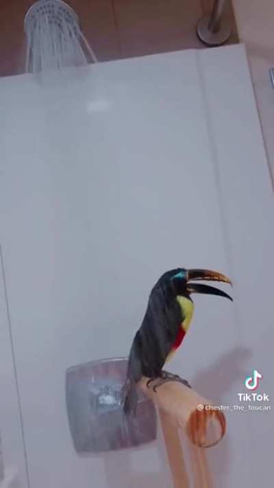 The shower is his happy place