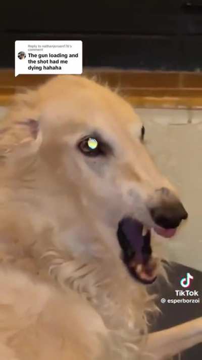 (TW) me when my text has yet to be answered