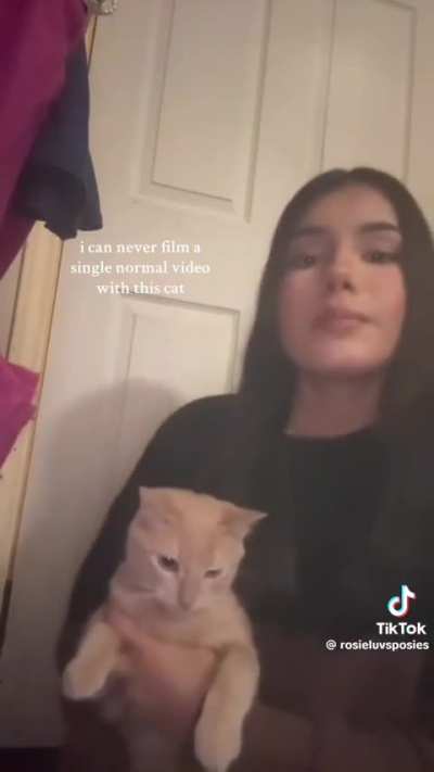He's a really nice cat