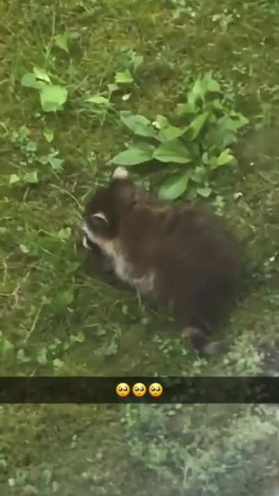 It’s a baby!