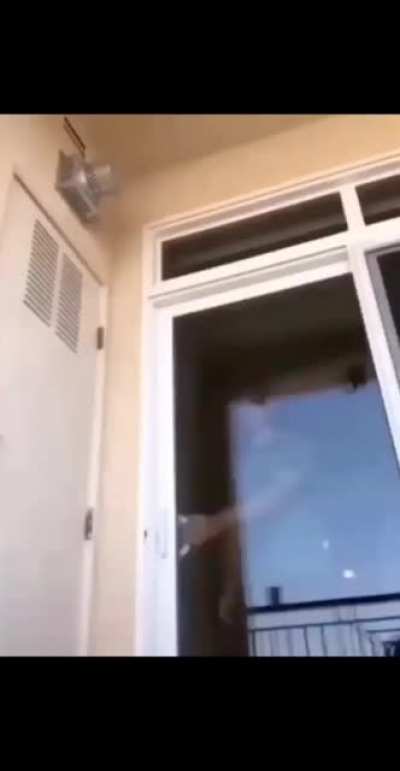 Boo