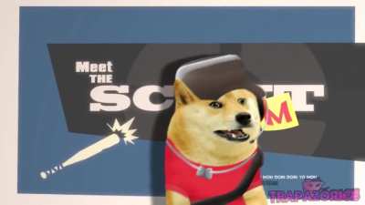 Meet the scoumt
