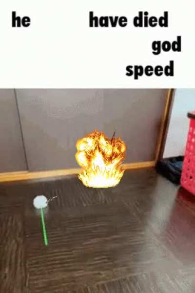 govungo
