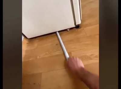 Just cleaning out under the fridge...