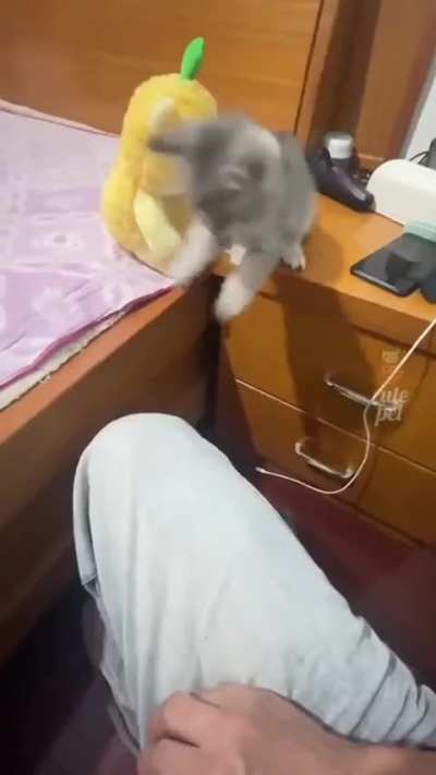 Cute