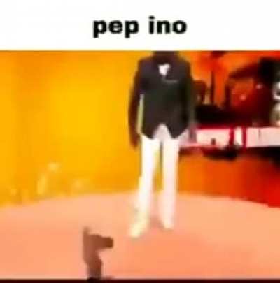 PEP INO