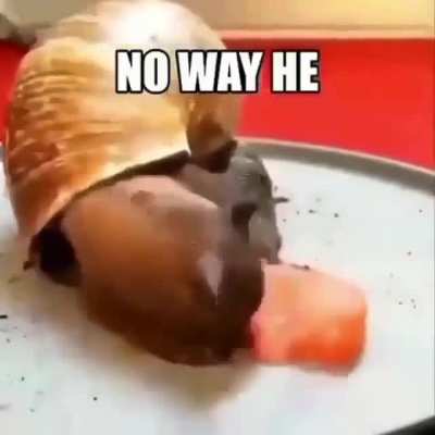 no way