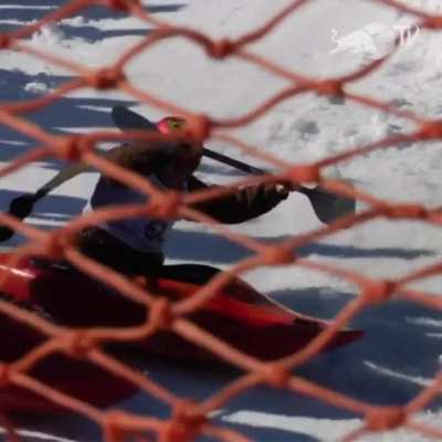 Snow kayaking