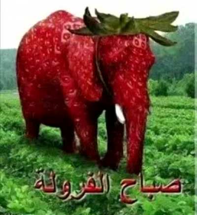 قاعدة