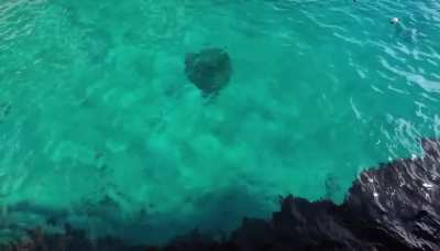 From Jamaica vlog