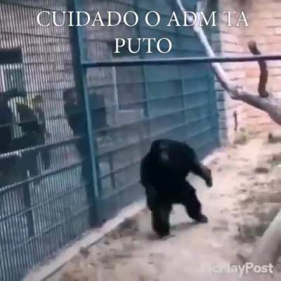 Cuidado 😳😳