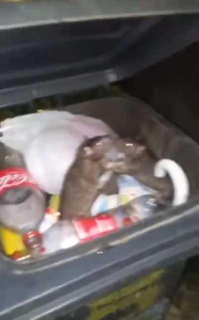 Hmmm