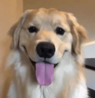 A smile will save the world...