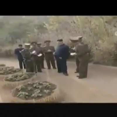 kim