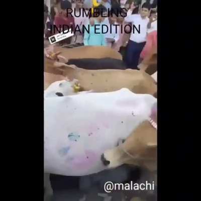 AOT irl