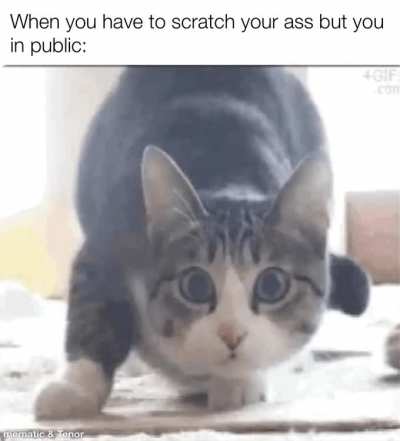 I’m not the only one right?