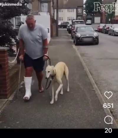 Fake disorder dog