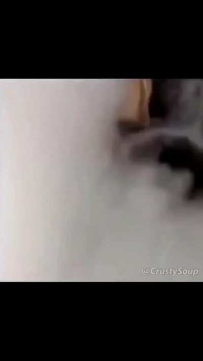 Epic transition