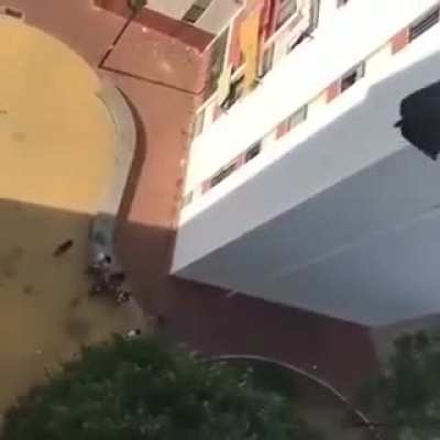 Water bomb