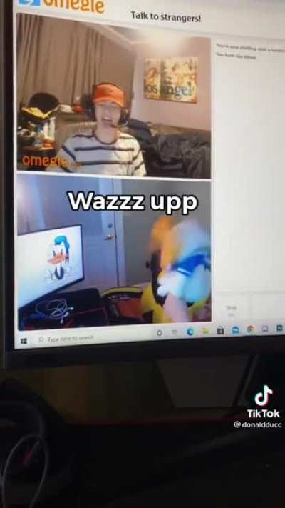 Donald Duck on Omegle
