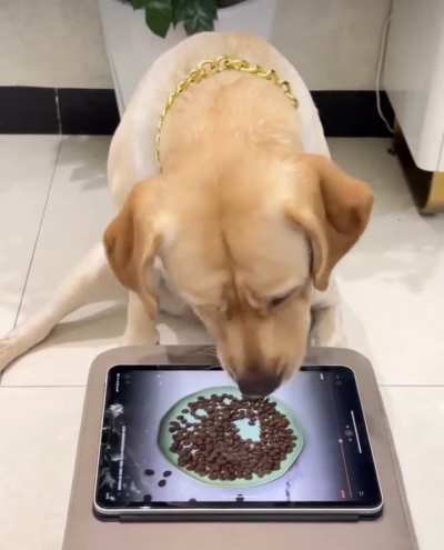 To eat.