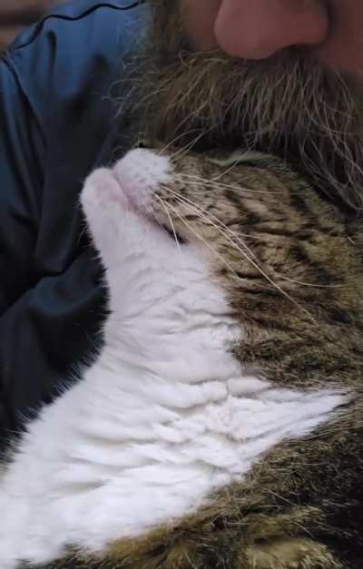 Ollie snuggles are the best!