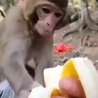 Mó esculacho