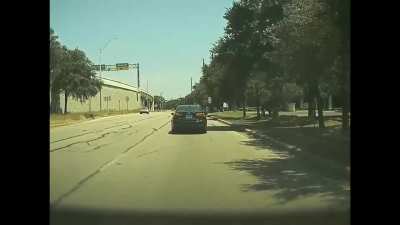 I'm sorry squirrel! Tesla forward & backward camera captures accident.