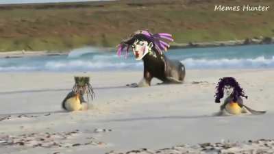 animememes - Video #9588