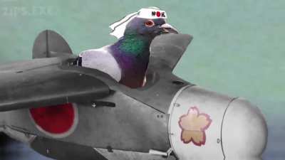 PGM Stands for PIGEON GUIDED MUNITION