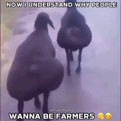 They know the secrets