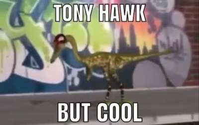 Tony Hawk But cool