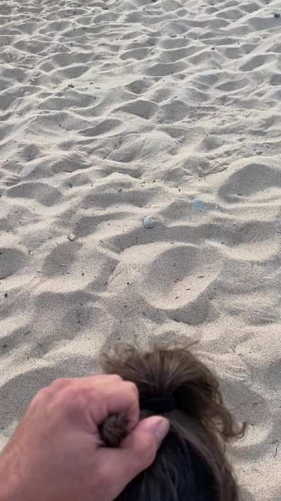 Beach day with my good girl 
