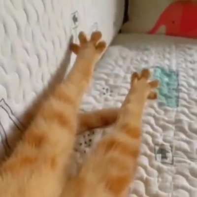 Потягушки