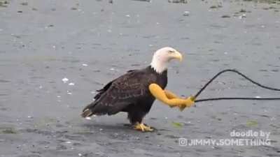 Hmm