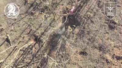 Ukrainian soldiers drop shells from drones on Russian soldiers. Not far from Avdiivka. April 2024
